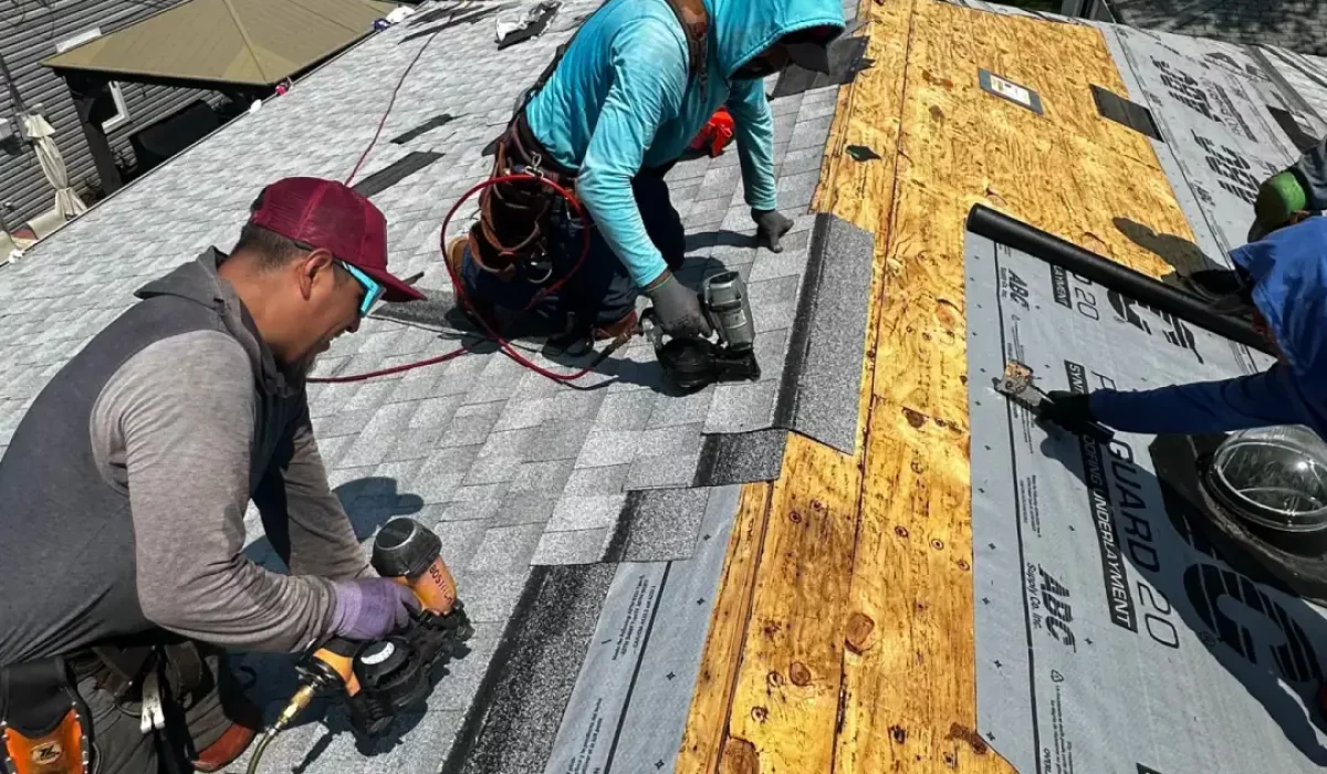 Professional roofers install asphalt shingles to extend roof life, working with nail guns and underlayment on plywood.