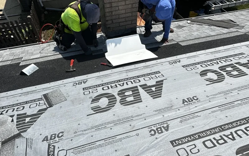 Royal Craft Roofing Services project in Downers Grove