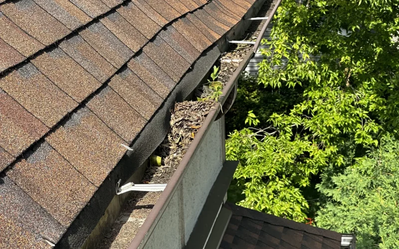 Royal Craft Gutters project in Downers Grove
