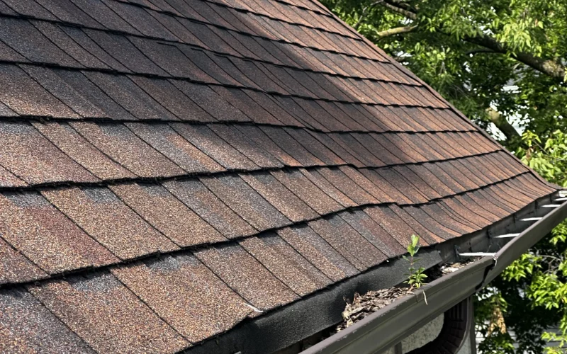 Royal Craft Gutters project in Downers Grove