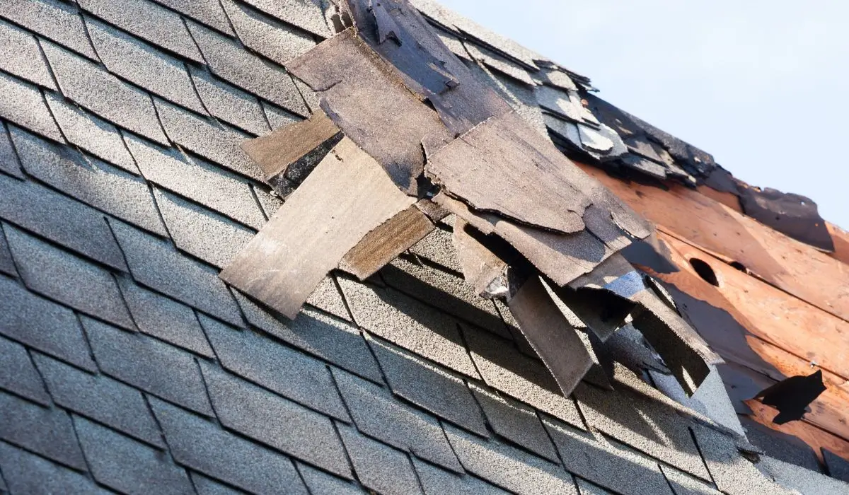 Close-up of storm-damaged shingles requiring professional emergency roof repair to prevent water leaks and structural damage.