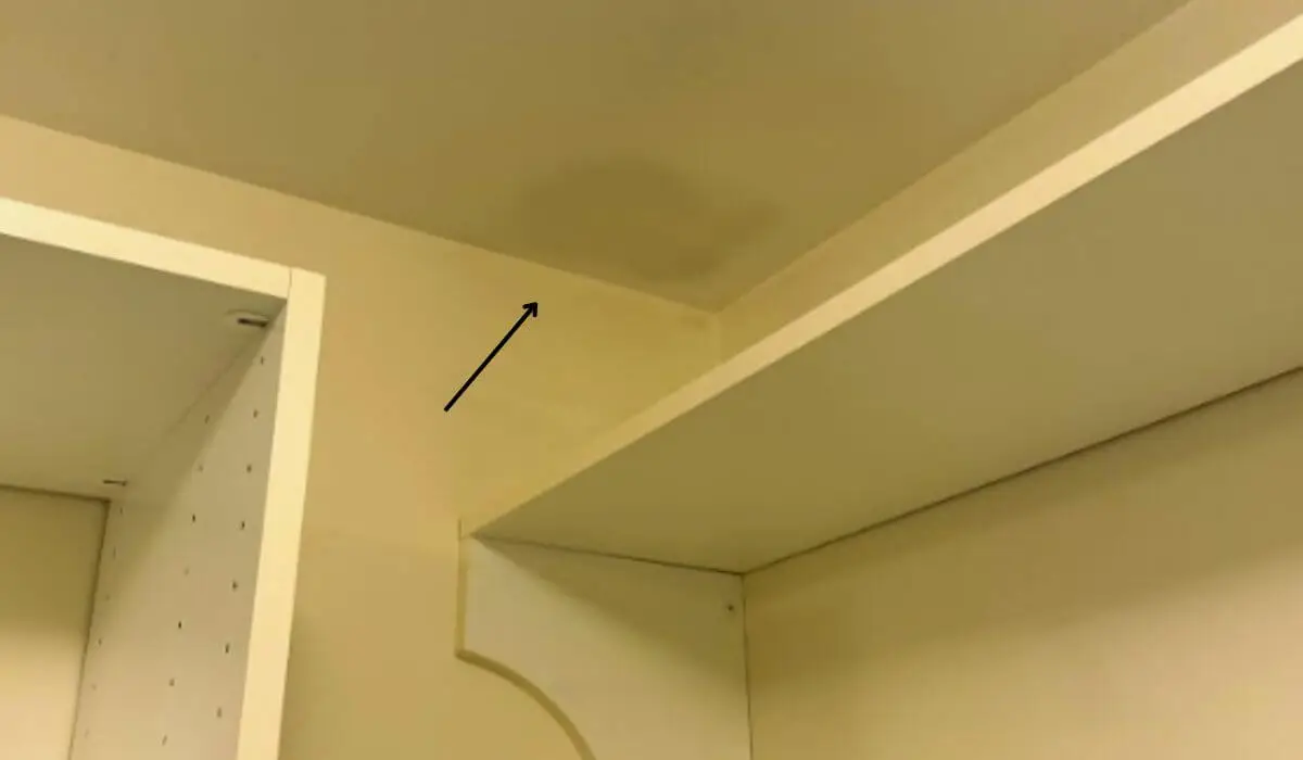 Ceiling stain from roof leak in Downers Grove home interior