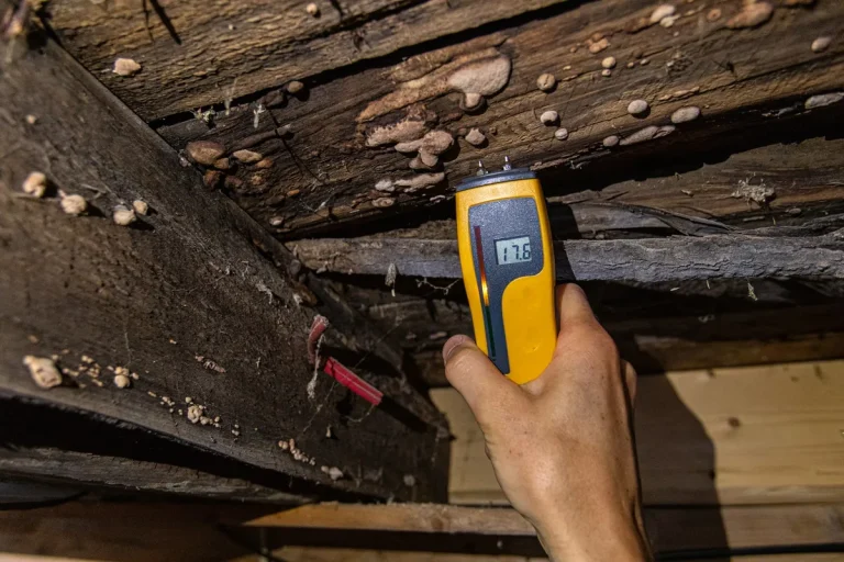 A man closely examining wooden beams, highlighting the importance of thorough roof inspections.